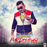 Pardhangi
