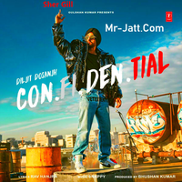 Con Fi Den Tial