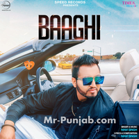 Baaghi