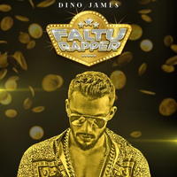 Faltu Rapper
