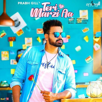 Teri Marzi Aa