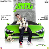 Mere Naalde
