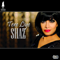 Tere Liye