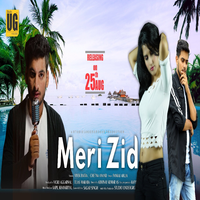 Meri Zid