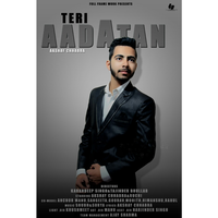Teri Aadatan