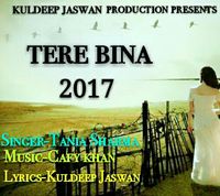 Tere Bina