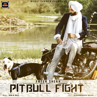 Pitbull Fight