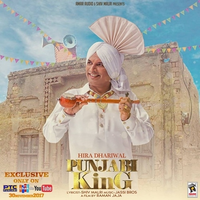 Punjabi King