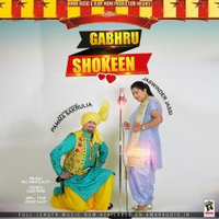 Gabhru Shokeen