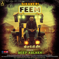 Bikaneri Feem