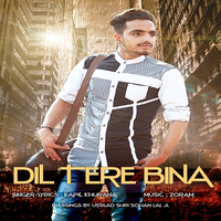 Dil Tere Bina