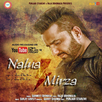 Nalua Vs Mirza