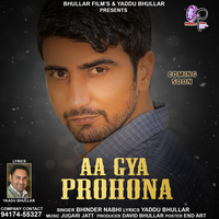 Aa Gya Prohona