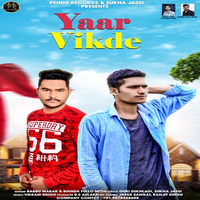 Yaar Vikde