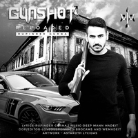 Gunshot Reloaded