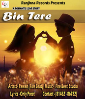 Bin Tere