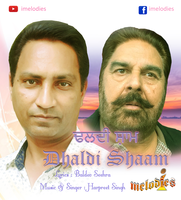 Dhaldi Shaam