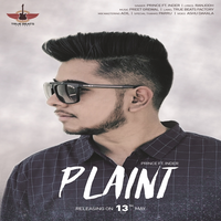 Plaint