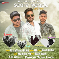 Saare Vaade