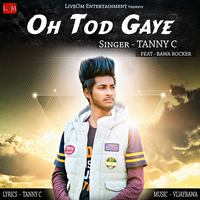 Oh Todh Gaye