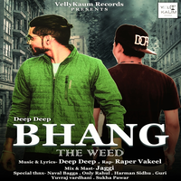 Bhang