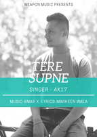 Tere Supne