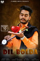 Dil Bolda