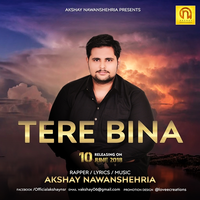 Tere Bina