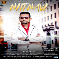 Nitt Navi