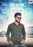 Black Dog