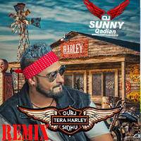 Tera Harley Remix