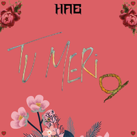Tu Meri O