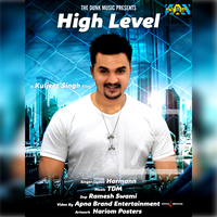 High Level