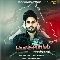 Haal E Punjab