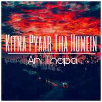 Kitna Pyaar Tha Humein