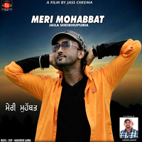 Meri Mohabbat