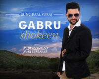 Gabhru Shokeen