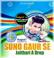 Suno Gaur Se Remix