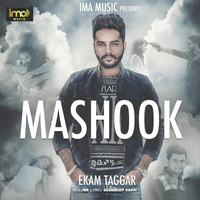 Mashook