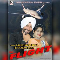 Flight