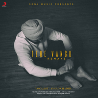 Tere Vangu