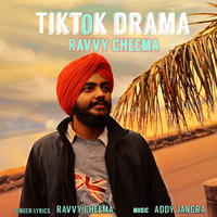 TikTok Drama