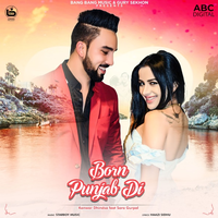 Born Punjab Di