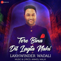 Tere Bina Dil Lagta Nahi