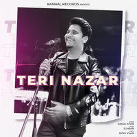 Teri Nazar