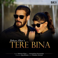 Tere Bina