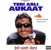 Teri Asli Aukaat
