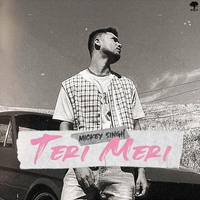 Teri Meri