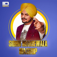 Sidhu Moose Wala Mashup