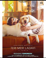 Teri Meri Ladayi